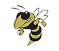 Calhoun High School Football logo